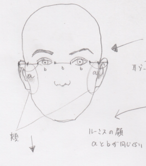 顔の立体性 顎の三角形 耳の位置と幅 鼻の位置と鼻の幅 目の位置