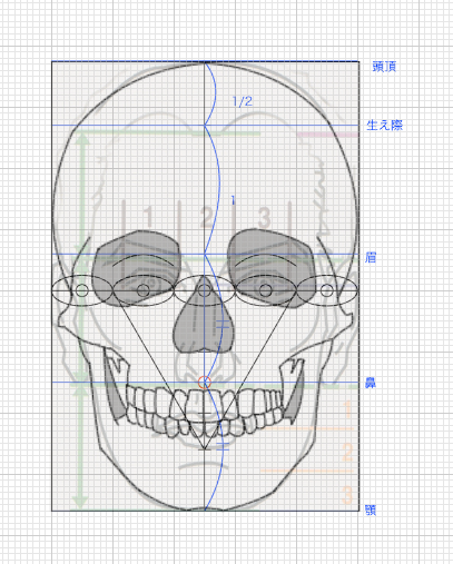 線画 正三角形の原則を使って顔を描く方法 比率 パース