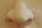 鼻の穴の構造