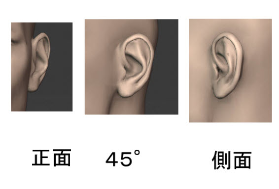 グリッドで考える横顔の耳の描き方とは プロポーションと比率