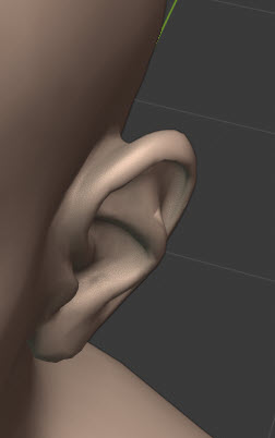 耳珠の位置関係