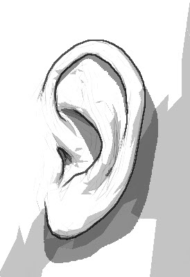 耳の影