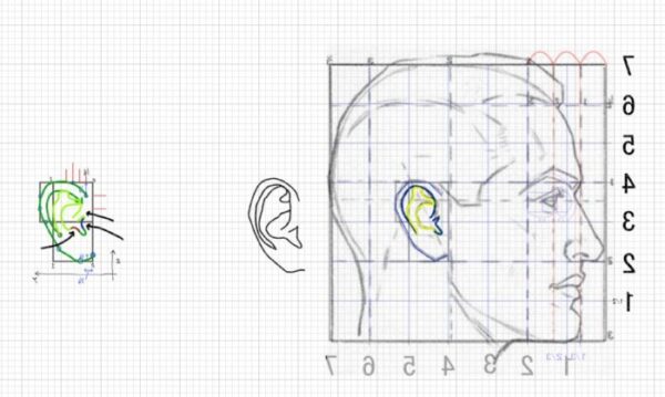 耳の描き方